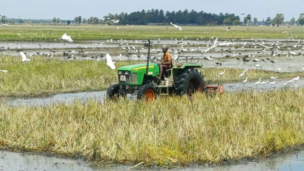 சிறுபோக வேளாண்மைக்கான முன் ஆயத்த பணிகள் முன்னெடுப்பு