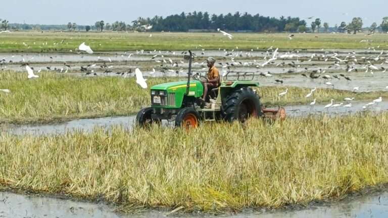 சிறுபோக வேளாண்மைக்கான முன் ஆயத்த பணிகள் முன்னெடுப்பு