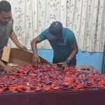 மஸ்கெலியா நகரில் மீண்டும் மதன மோதகத்துடன் ஒருவர் கைது.