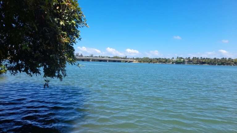 கல்லடி பாலத்தில் பாய்ந்த நபர் சடலமாக மீட்பு