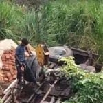 பாலத்திலிருந்து லொறி கவிழ்ந்ததில் இருவர் உயிரிழப்பு