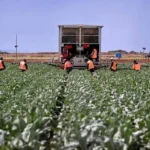 ஆசியாவில் உணவுப் பொருள்களின் விலை உயரக்கூடும்