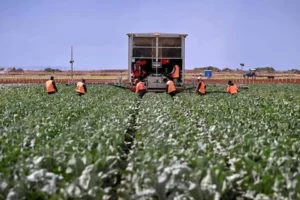 ஆசியாவில் உணவுப் பொருள்களின் விலை உயரக்கூடும்