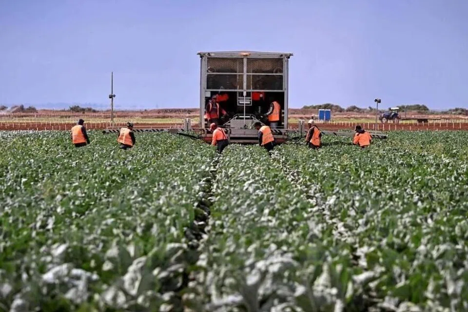 ஆசியாவில் உணவுப் பொருள்களின் விலை உயரக்கூடும்