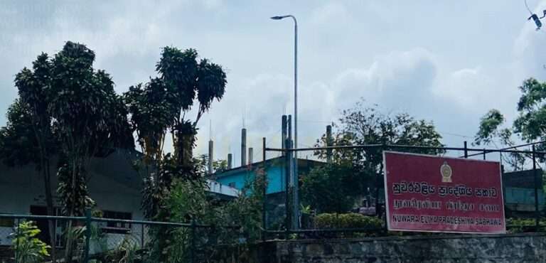 நுவரெலியா பிரதேச சபையின் தலைவர் விளக்கமறியலில்