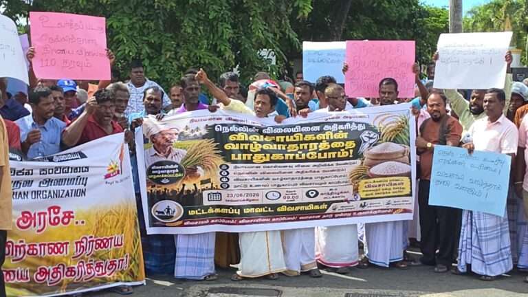 நெல்லுக்கு நியாயமான விலையும் நேரடி அரச கொள்வனவும் வேண்டும்!