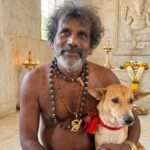 யாழ்ப்பாணத்திலிருந்து கதிர்காம யாத்திரையில் இணைந்த நாய்!