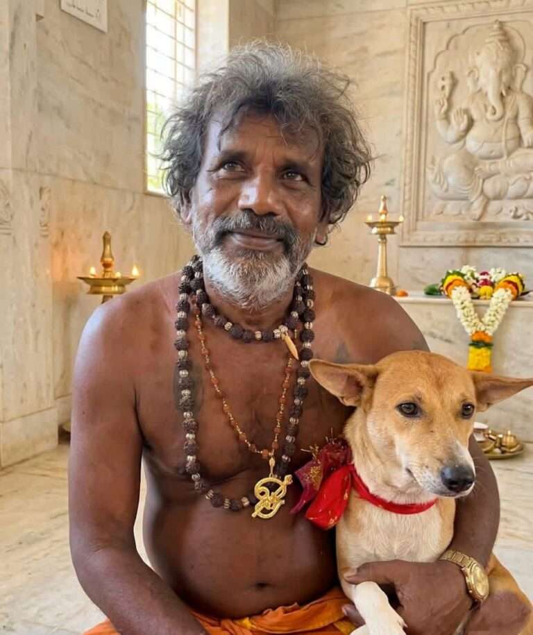 யாழ்ப்பாணத்திலிருந்து கதிர்காம யாத்திரையில் இணைந்த நாய்!