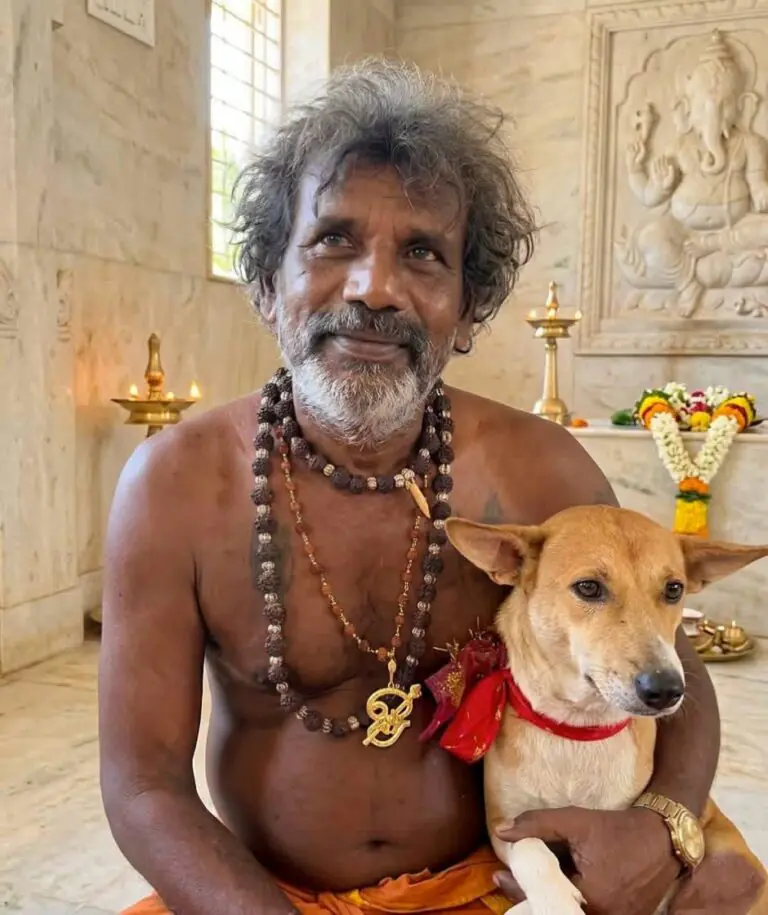 யாழ்ப்பாணத்திலிருந்து கதிர்காம யாத்திரையில் இணைந்த நாய்!