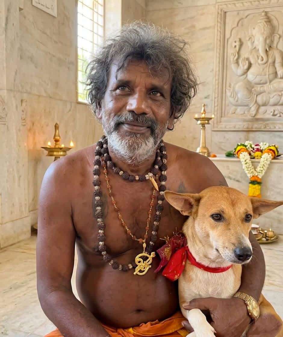 யாழ்ப்பாணத்திலிருந்து கதிர்காம யாத்திரையில் இணைந்த நாய்!