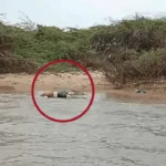 நெடுந்தீவு மீனவரின் சடலம் நாகபட்டினத்தில் மீட்பு!