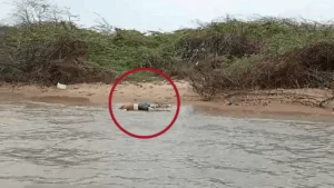 நெடுந்தீவு மீனவரின் சடலம் நாகபட்டினத்தில் மீட்பு!