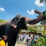 வரலாற்றுச் சிறப்புமிக்க கத்தரகமை தேவாலய பந்தல் புதுப்பித்தல் விழா