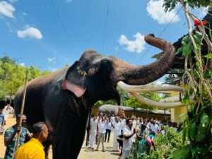 வரலாற்றுச் சிறப்புமிக்க கத்தரகமை தேவாலய பந்தல் புதுப்பித்தல் விழா