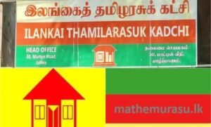 22இற்கு சர்வஜன வாக்கெடுப்பு வேண்டும்